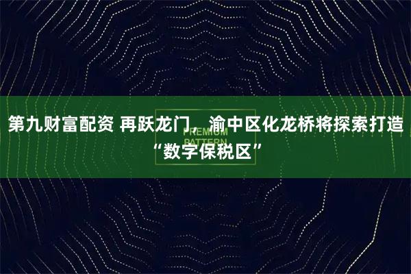 第九财富配资 再跃龙门，渝中区化龙桥将探索打造“数字保税区”