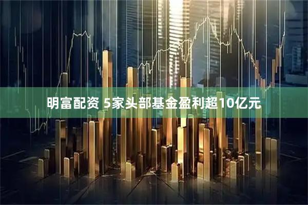 明富配资 5家头部基金盈利超10亿元